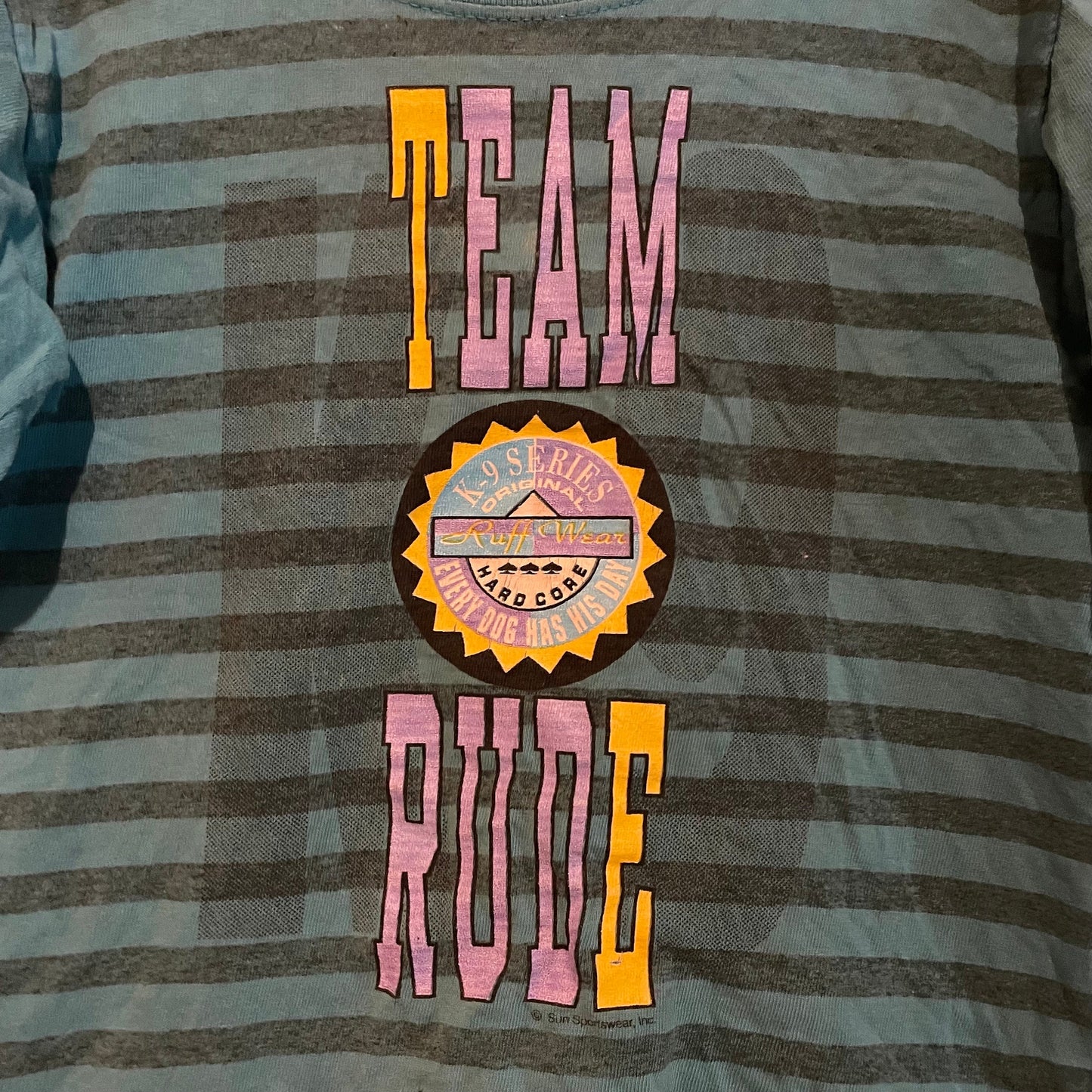 vtg 90s TEAM RUDE SHIRT // vintage kids striped teal tshirt distressed funny rude sarcastic crop top baby tee two tone rude dog graphic tee