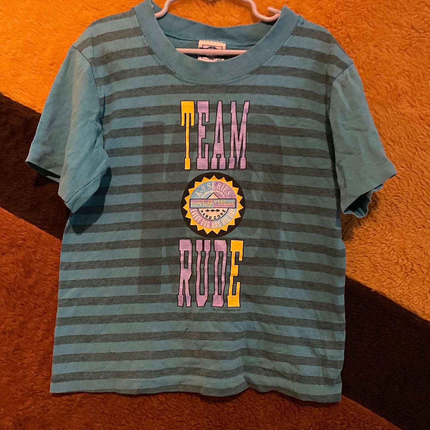vtg 90s TEAM RUDE SHIRT // vintage kids striped teal tshirt distressed funny rude sarcastic crop top baby tee two tone rude dog graphic tee