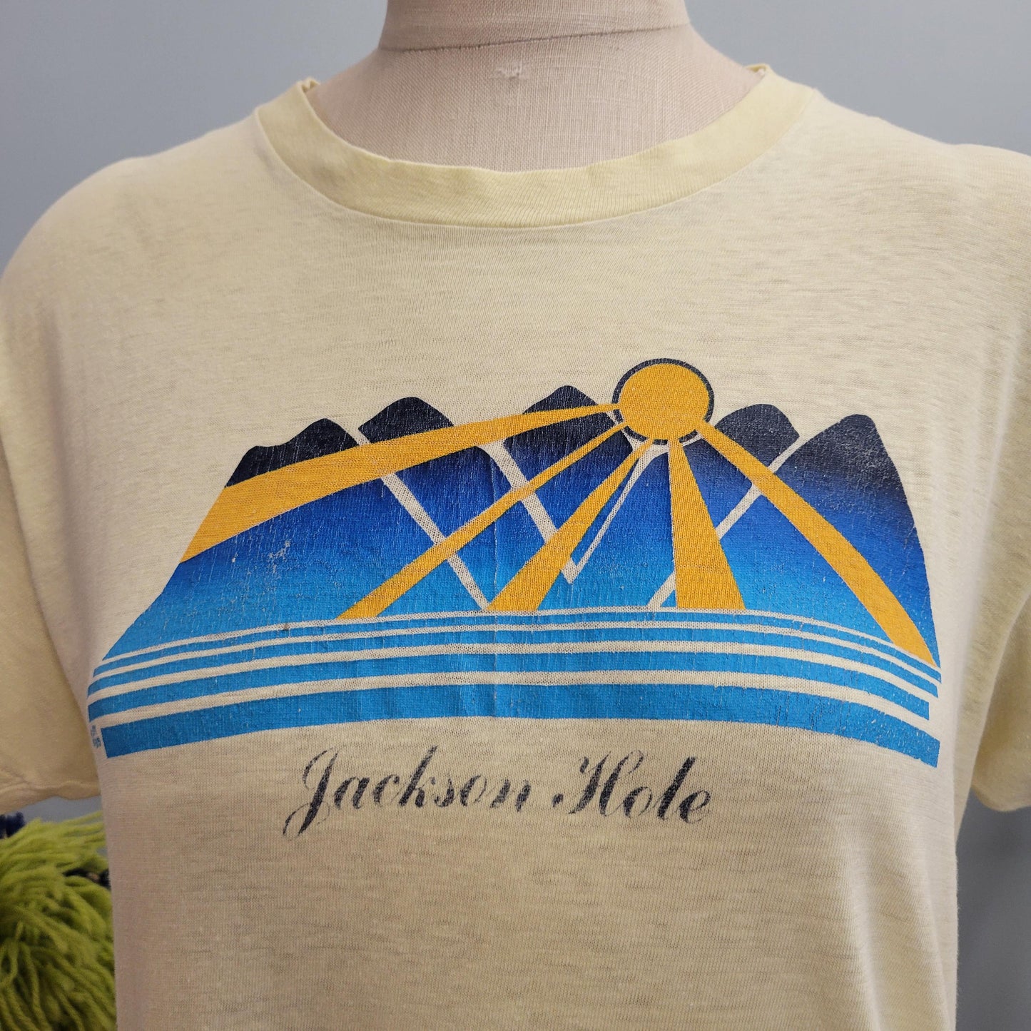 vtg 70s JACKSON HOLE TSHIRT // vintage hanes large mens unisex paper thin wyoming travel souvenir mountains sunset outdoorsy retro canoe guy