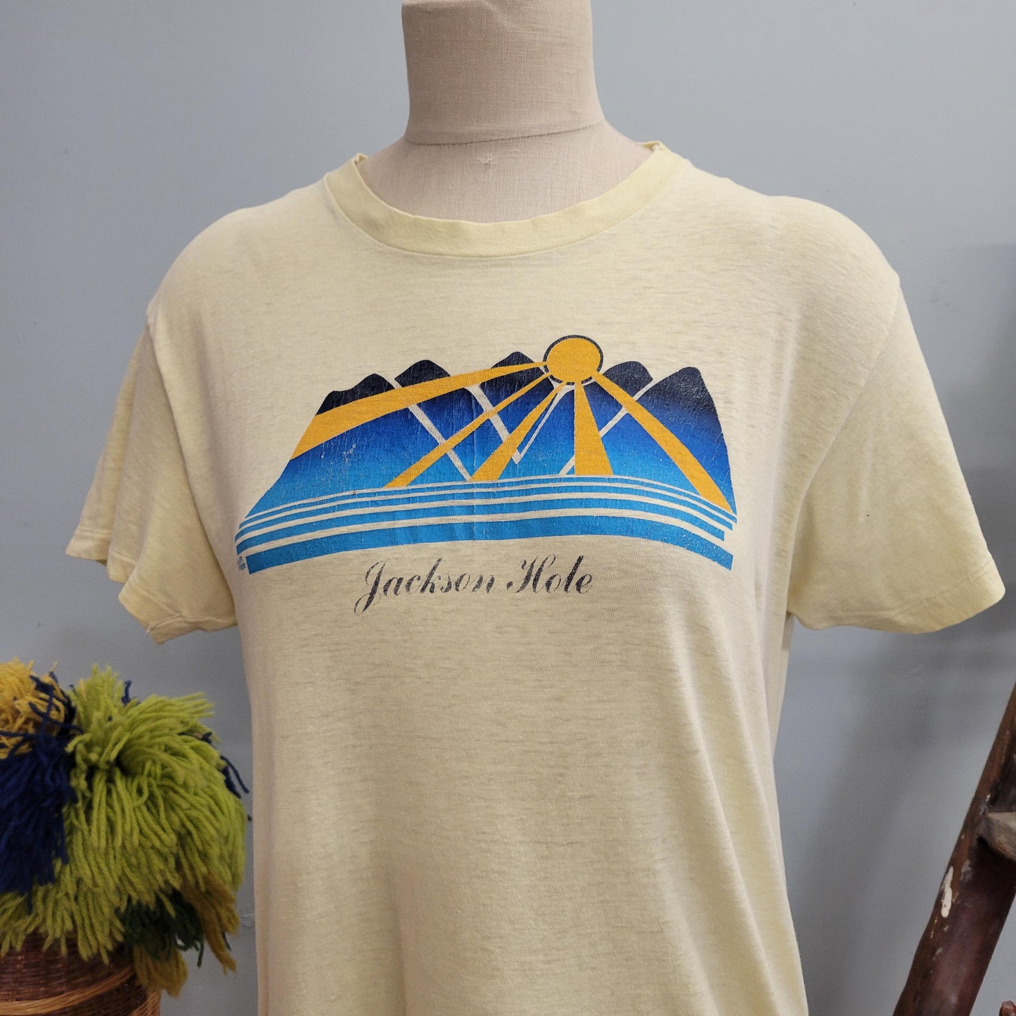 vtg 70s JACKSON HOLE TSHIRT // vintage hanes large mens unisex paper thin wyoming travel souvenir mountains sunset outdoorsy retro canoe guy
