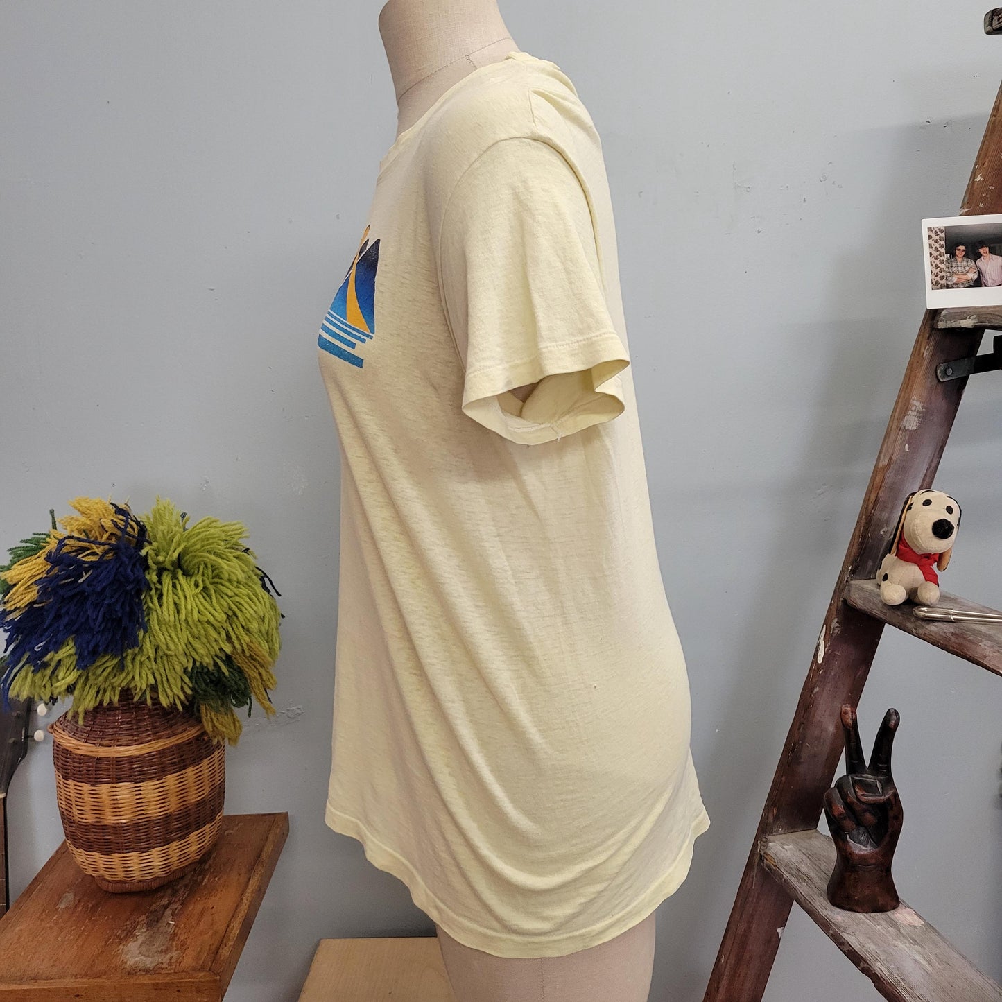 vtg 70s JACKSON HOLE TSHIRT // vintage hanes large mens unisex paper thin wyoming travel souvenir mountains sunset outdoorsy retro canoe guy