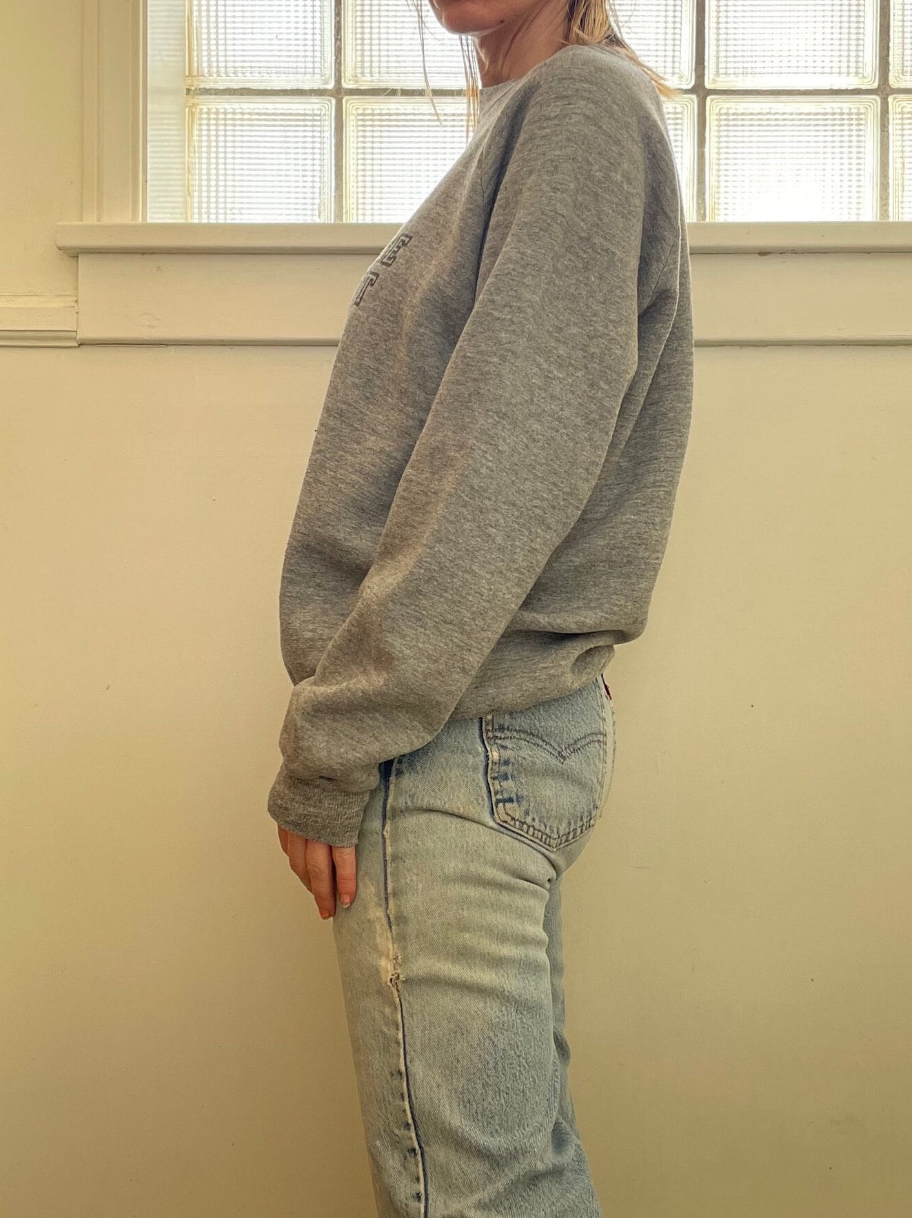 vtg 90s COLLEGE STUDENT SWEATSHIRT // vintage I are a college student gray comfy slouchy fitted cropped top ironic hipster funny graphic tee