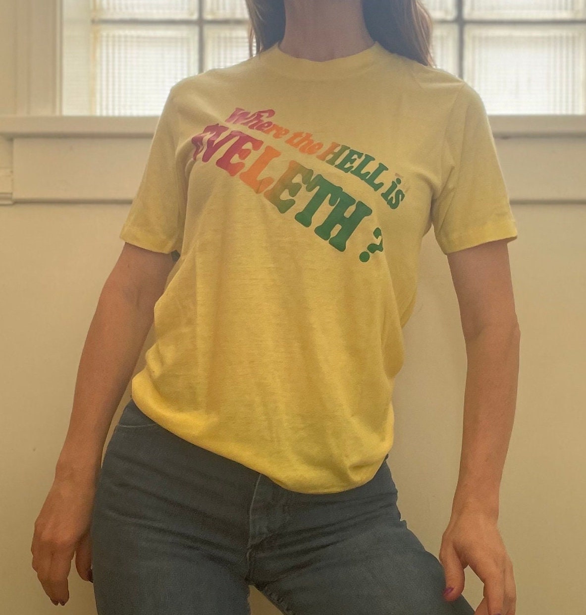vtg 70s RETRO RAINBOW GRAPHIC Tee // vintage "where the hell is eleveth"  funny spell out shirt eleveth minnesota spruce large single stitch
