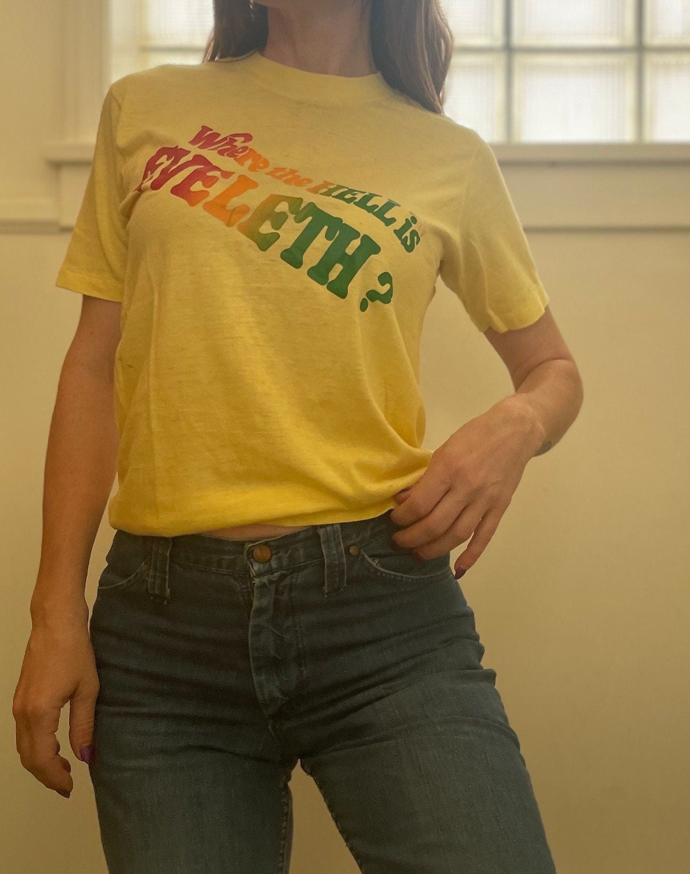 vtg 70s RETRO RAINBOW GRAPHIC Tee // vintage "where the hell is eleveth"  funny spell out shirt eleveth minnesota spruce large single stitch