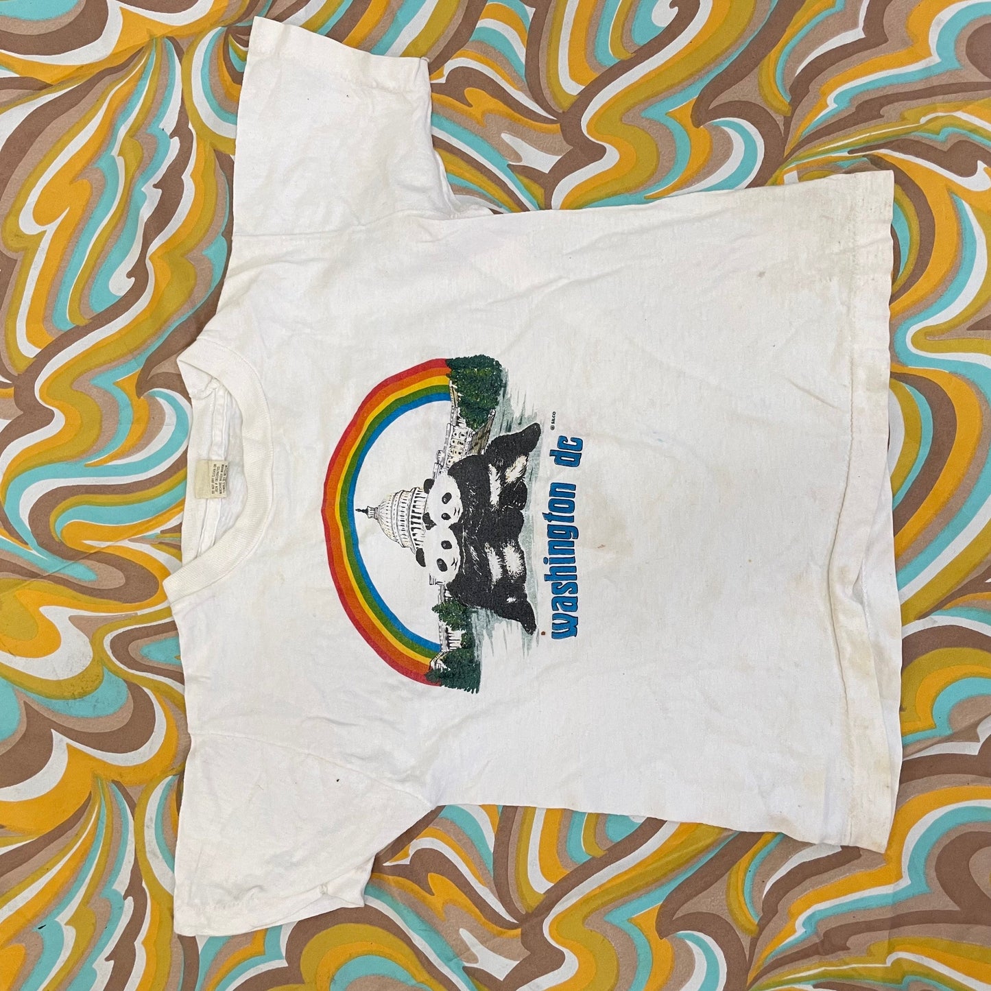 vtg 80s WASHINGTON CUTE PANDA shirt rainbow graphic tee 1985 cute animal zoo t shirt youth large fairy kei soft happy retro wildlife art tee