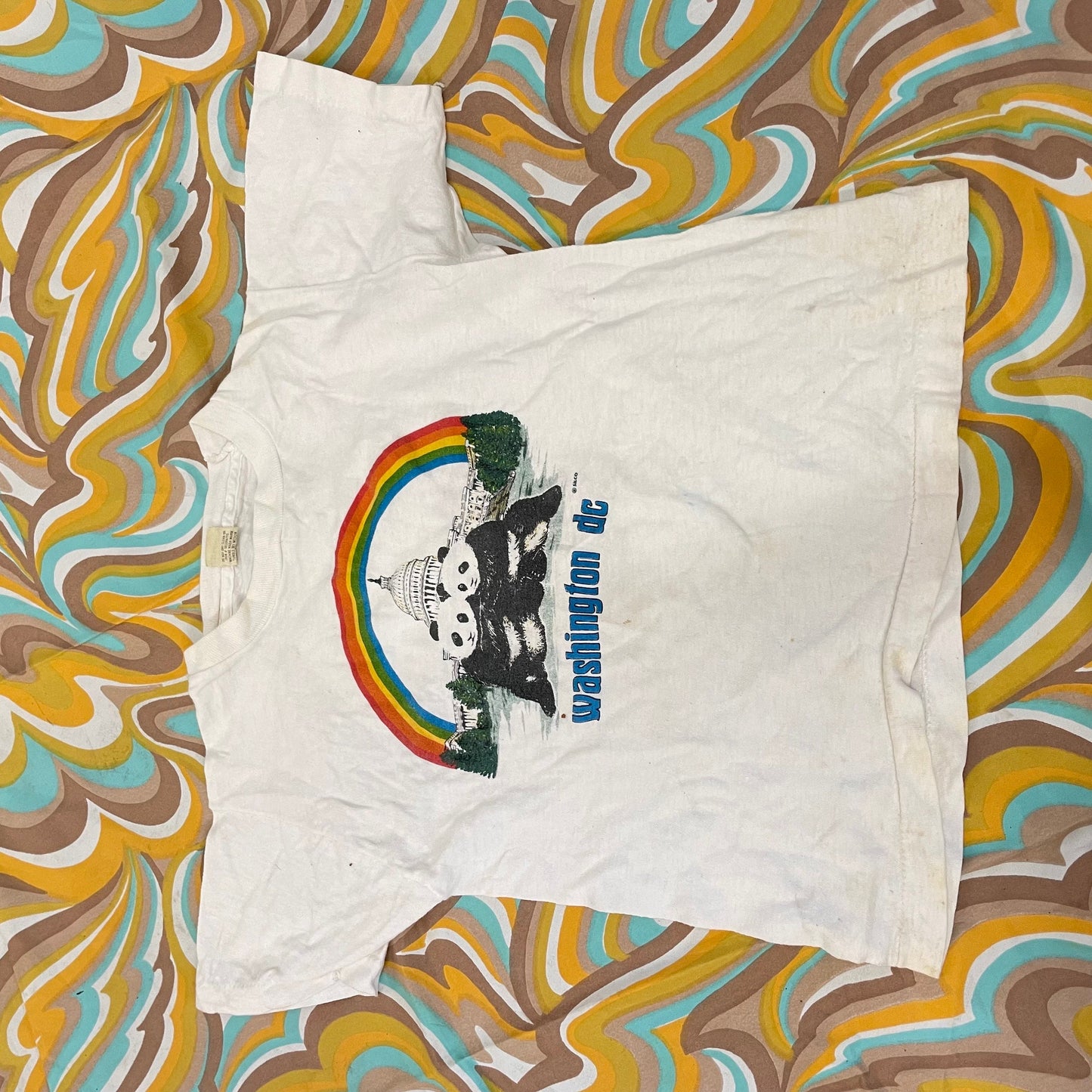 vtg 80s WASHINGTON CUTE PANDA shirt rainbow graphic tee 1985 cute animal zoo t shirt youth large fairy kei soft happy retro wildlife art tee