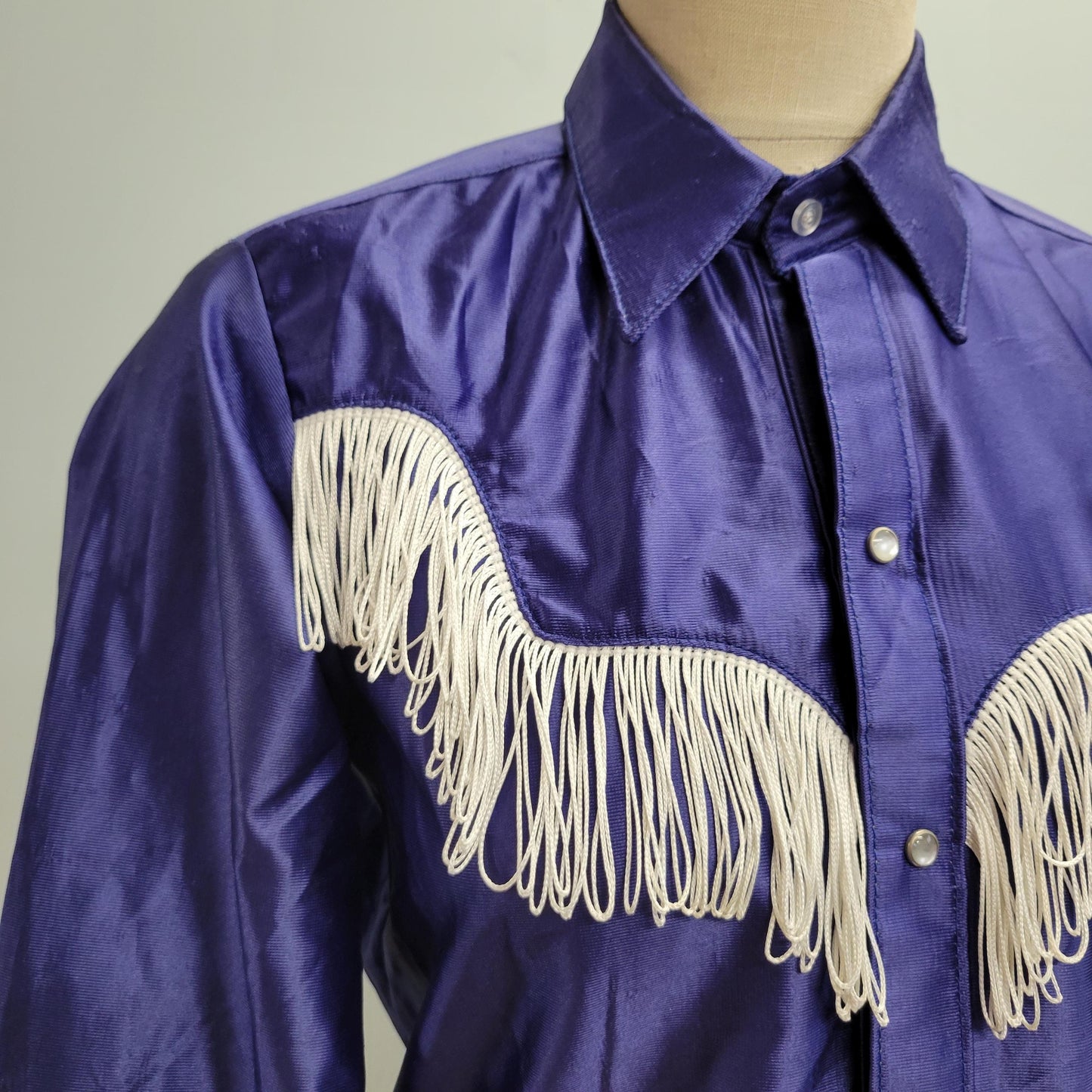 vtg 70s WESTERN FRINGE BUTTONDOWN vintage rockmount ranch wear top 15-32 tru-west usa purple cowgirl rodeo midnight cowboy cutom fitted top