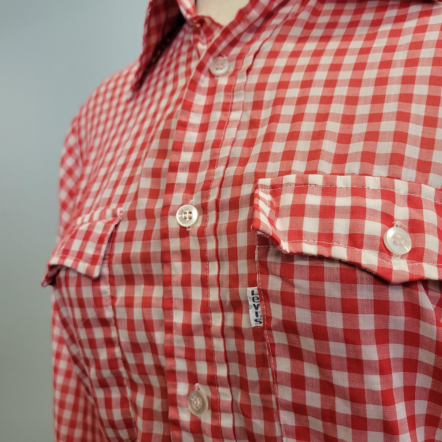 vtg 70s LEVIS GINHAM PLAID Shirt // vintage levi shirt small button down western hippie retro red plaid autumn fashion classic dress shirt