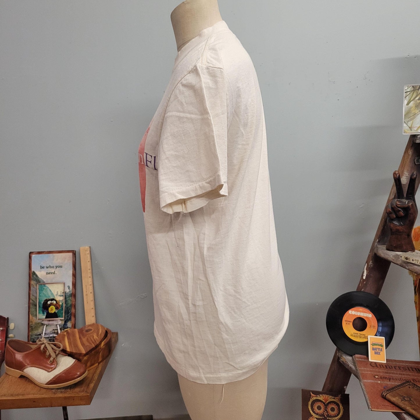 vtg 90s VICTORY WOMEN TSHIRT // vintage oneita medium smithsonian women fly amelia earhart women in flight history museum art tee girl power