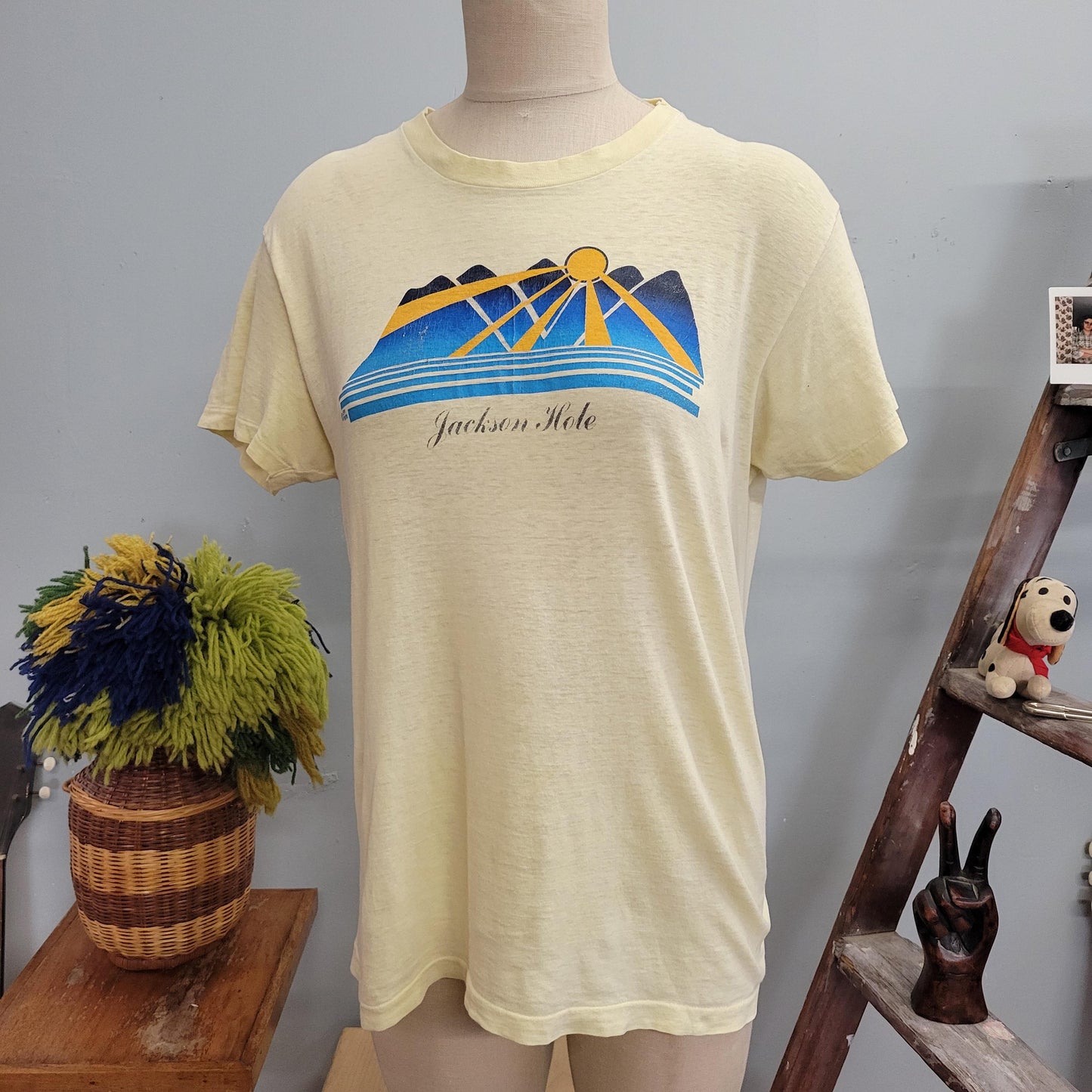 vtg 70s JACKSON HOLE TSHIRT // vintage hanes large mens unisex paper thin wyoming travel souvenir mountains sunset outdoorsy retro canoe guy