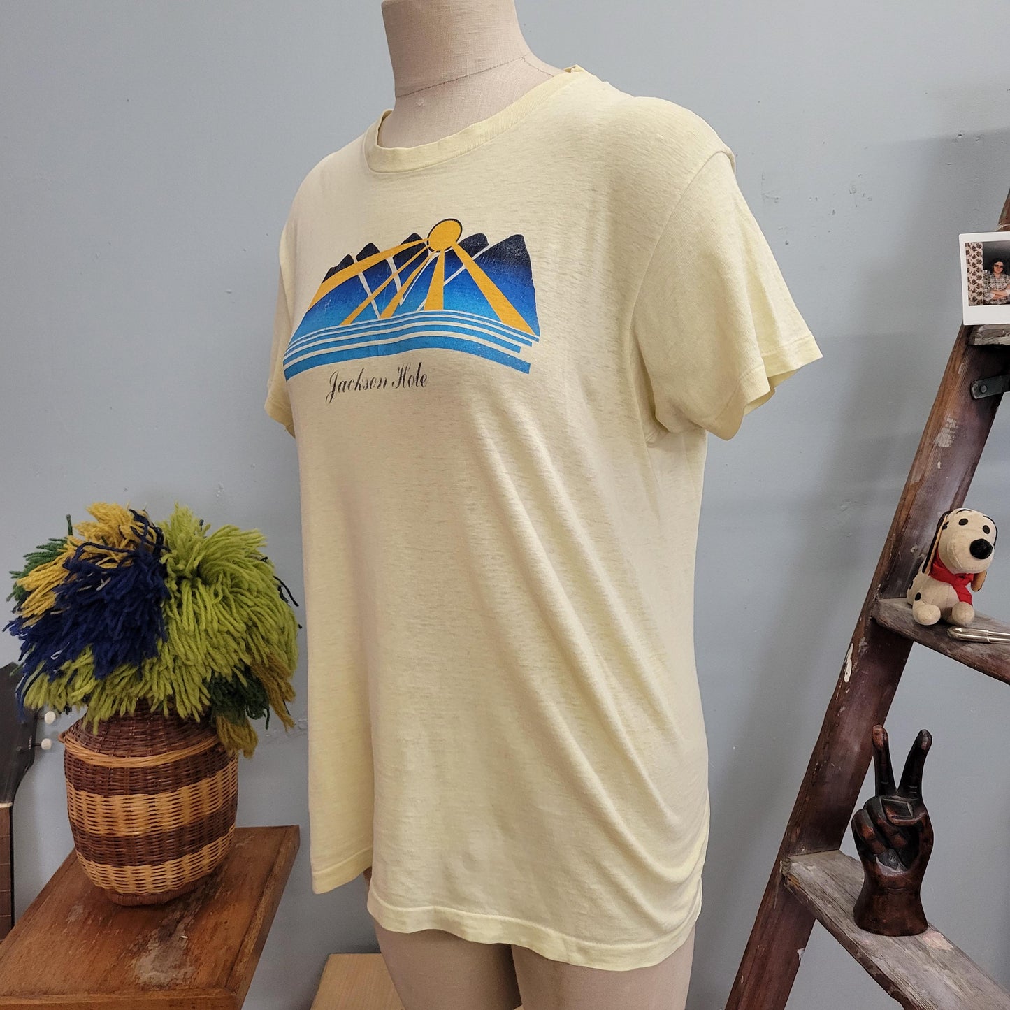 vtg 70s JACKSON HOLE TSHIRT // vintage hanes large mens unisex paper thin wyoming travel souvenir mountains sunset outdoorsy retro canoe guy